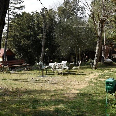 Mdq - Azienda Agricola Διαμέρισμα Castiglione dʼOrcia Εξωτερικό φωτογραφία