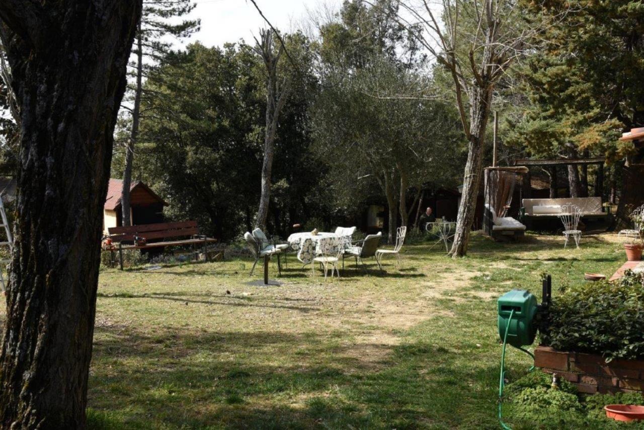 Mdq - Azienda Agricola Διαμέρισμα Castiglione dʼOrcia Εξωτερικό φωτογραφία